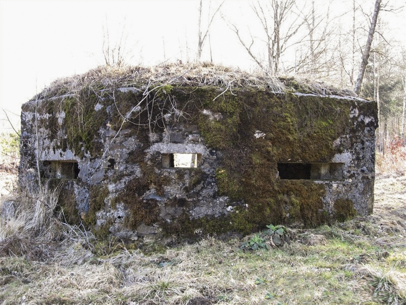 Ligne Maginot - BA49 - ALLÉE GENEVIÈVE - (Blockhaus pour arme infanterie) -  - François MATHOT