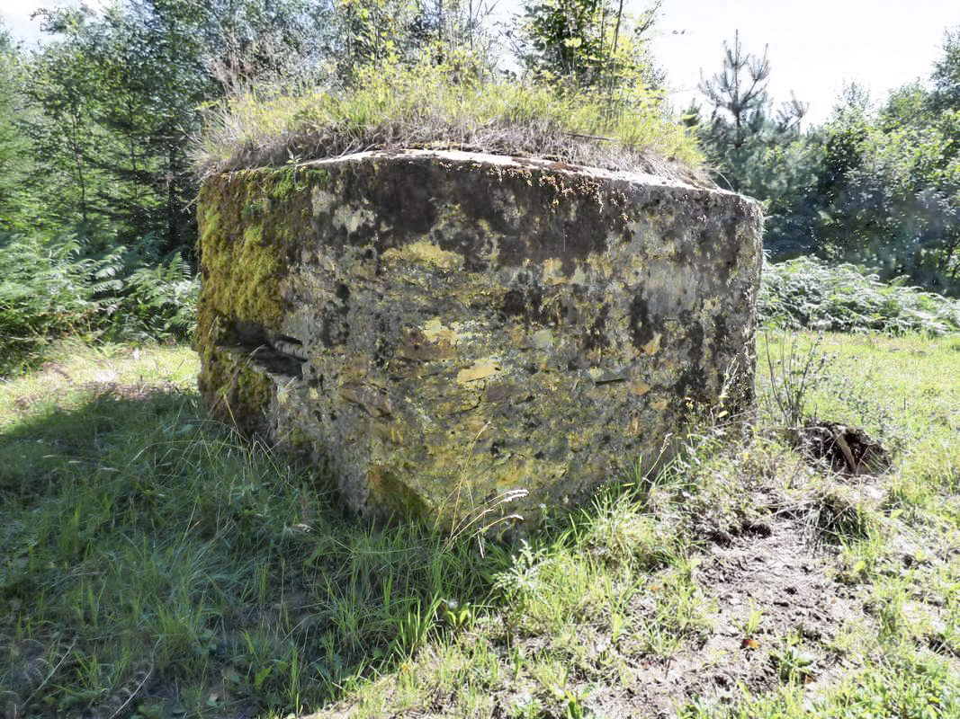 Ligne Maginot - BA49 - ALLÉE GENEVIÈVE - (Blockhaus pour arme infanterie) -  - JMBrams