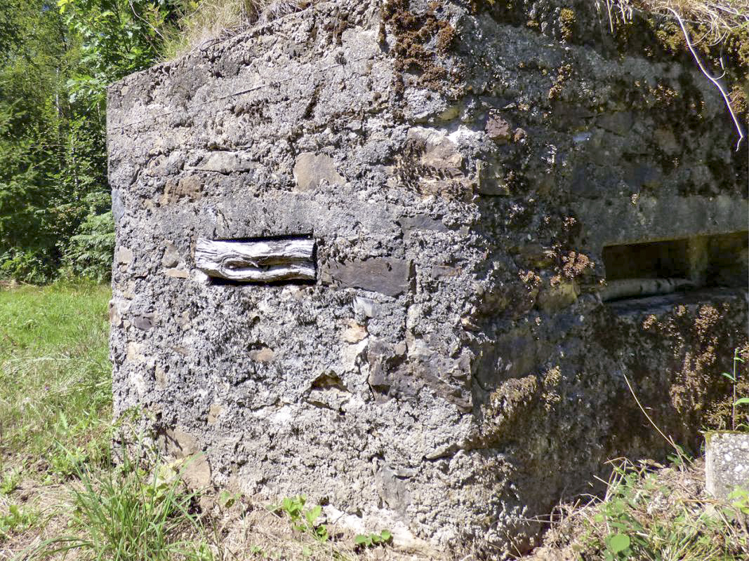 Ligne Maginot - BA49 - ALLÉE GENEVIÈVE - (Blockhaus pour arme infanterie) -  - JMBrams