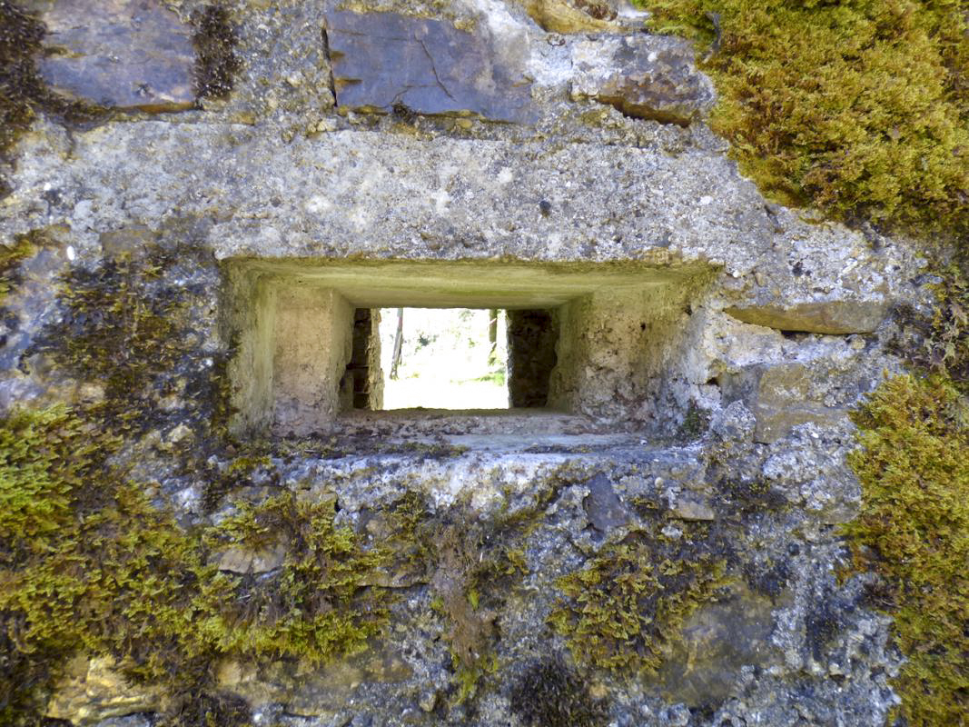 Ligne Maginot - BA49 - ALLÉE GENEVIÈVE - (Blockhaus pour arme infanterie) -  - JMBrams