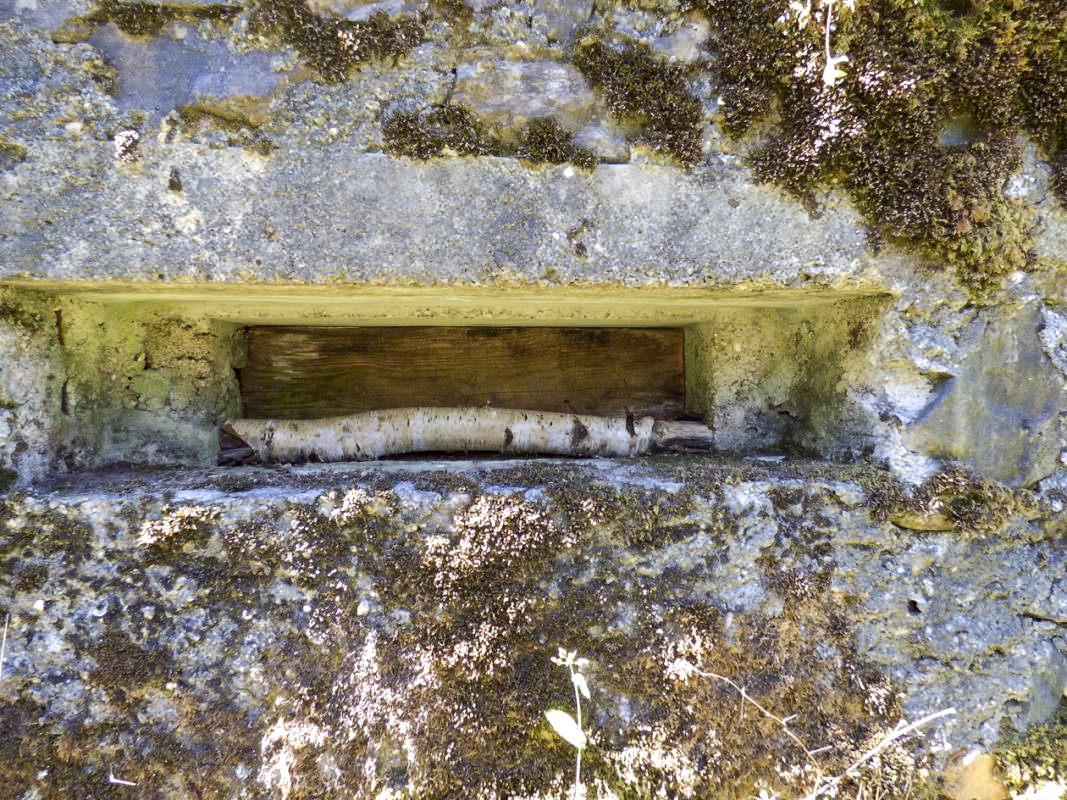 Ligne Maginot - BA49 - ALLÉE GENEVIÈVE - (Blockhaus pour arme infanterie) -  - JMBrams