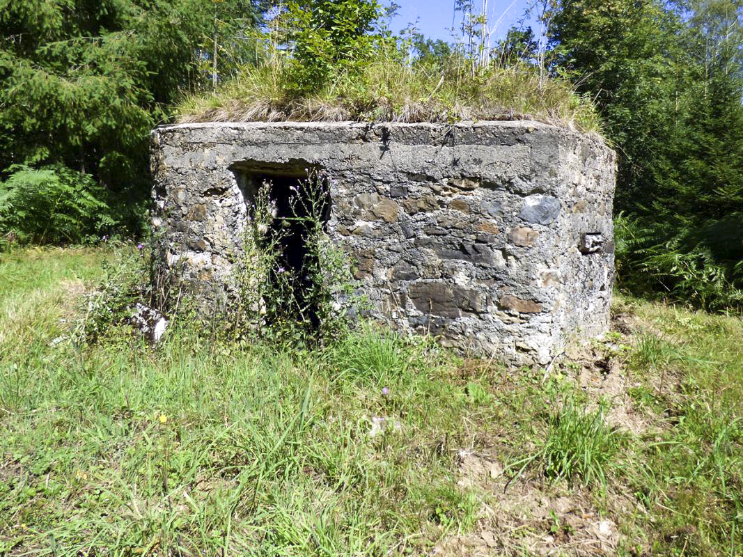 Ligne Maginot - BA49 - ALLÉE GENEVIÈVE - (Blockhaus pour arme infanterie) -  - JMBrams