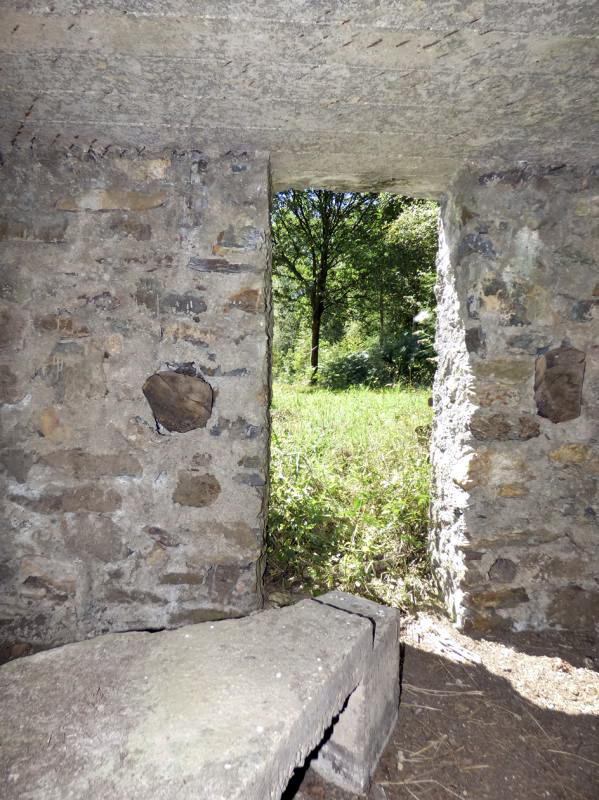 Ligne Maginot - BA49 - ALLÉE GENEVIÈVE - (Blockhaus pour arme infanterie) -  - JMBrams