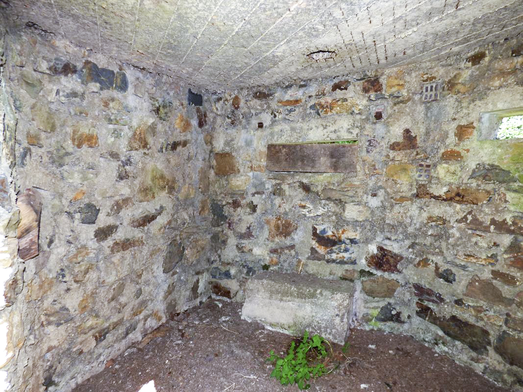 Ligne Maginot - BA49 - ALLÉE GENEVIÈVE - (Blockhaus pour arme infanterie) -  - JMBrams