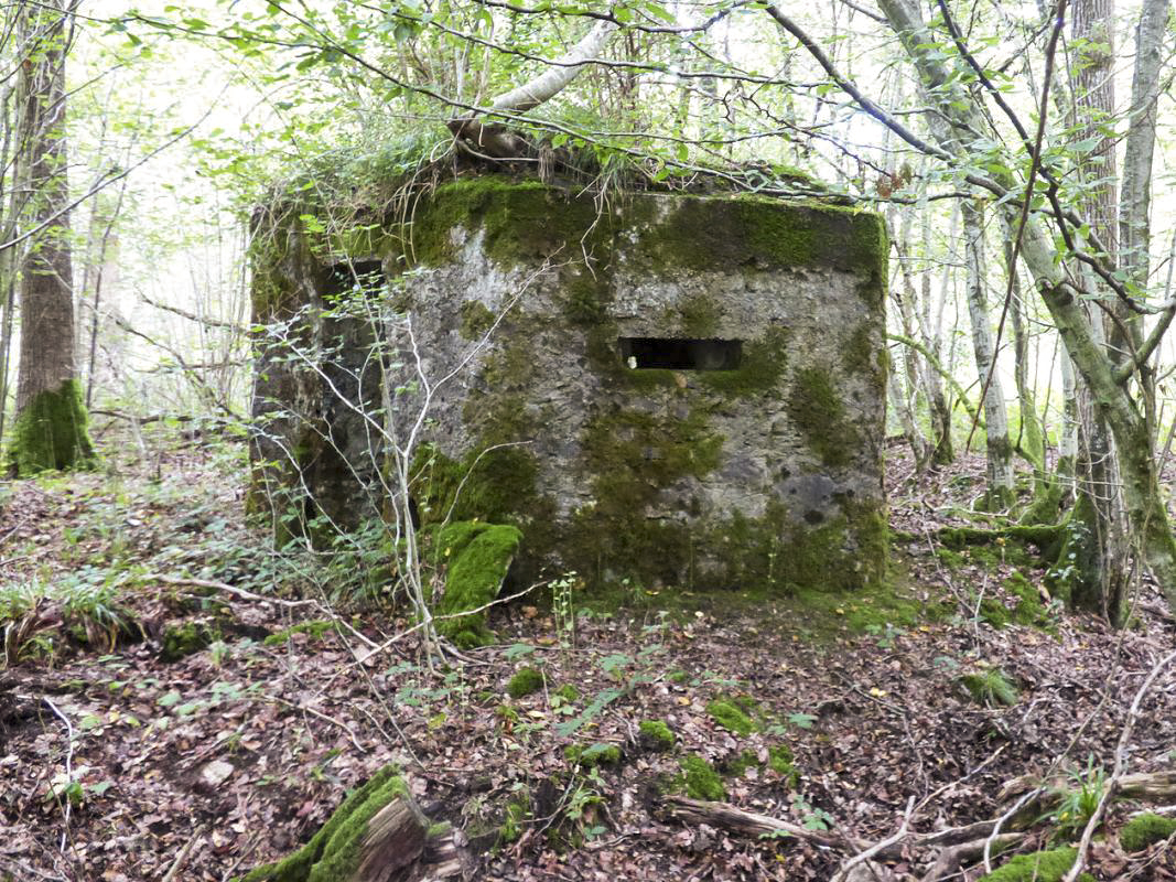 Ligne Maginot - BA50 - ALLÉE DES CHEVREUILS - (Blockhaus pour arme infanterie) -  - JMBrams