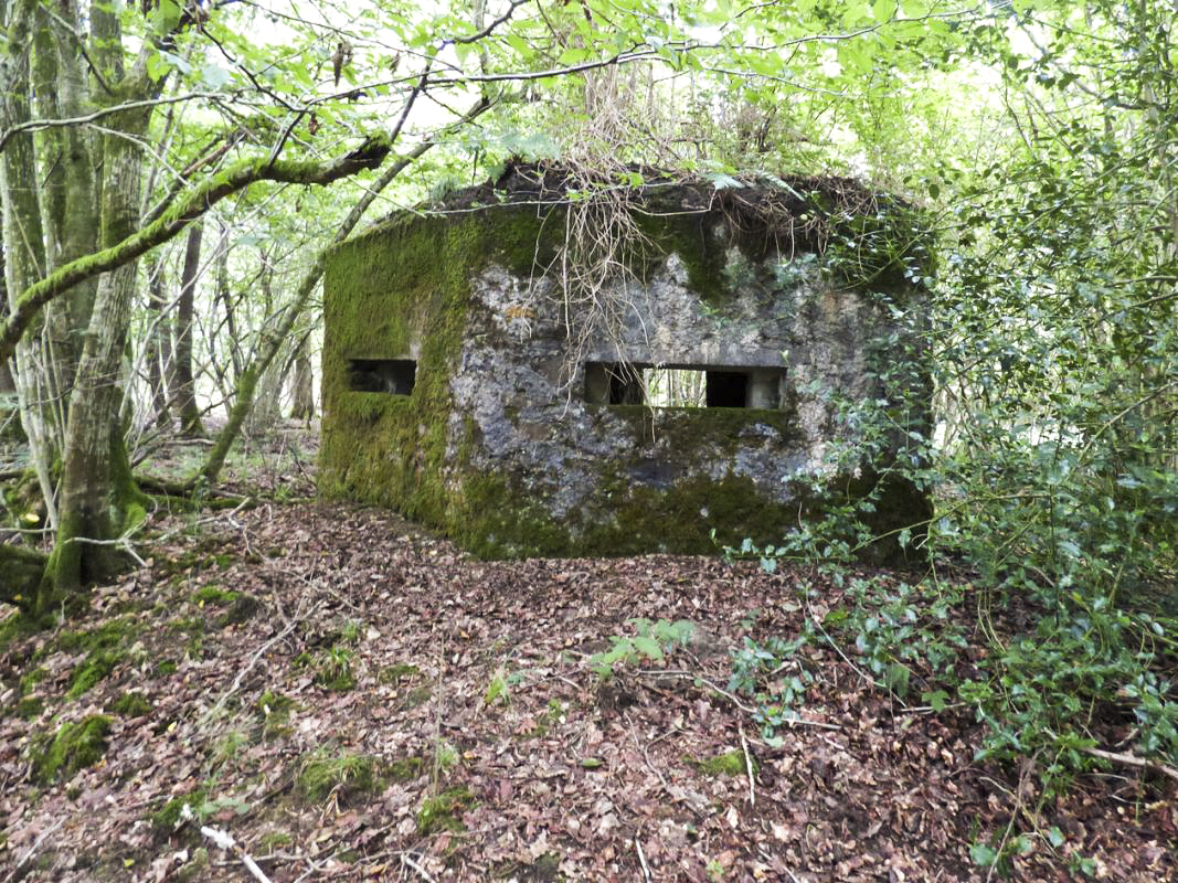 Ligne Maginot - BA50 - ALLÉE DES CHEVREUILS - (Blockhaus pour arme infanterie) -  - JMBrams