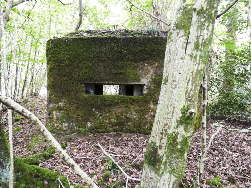 Ligne Maginot - BA50 - ALLÉE DES CHEVREUILS - (Blockhaus pour arme infanterie) -  - JMBrams