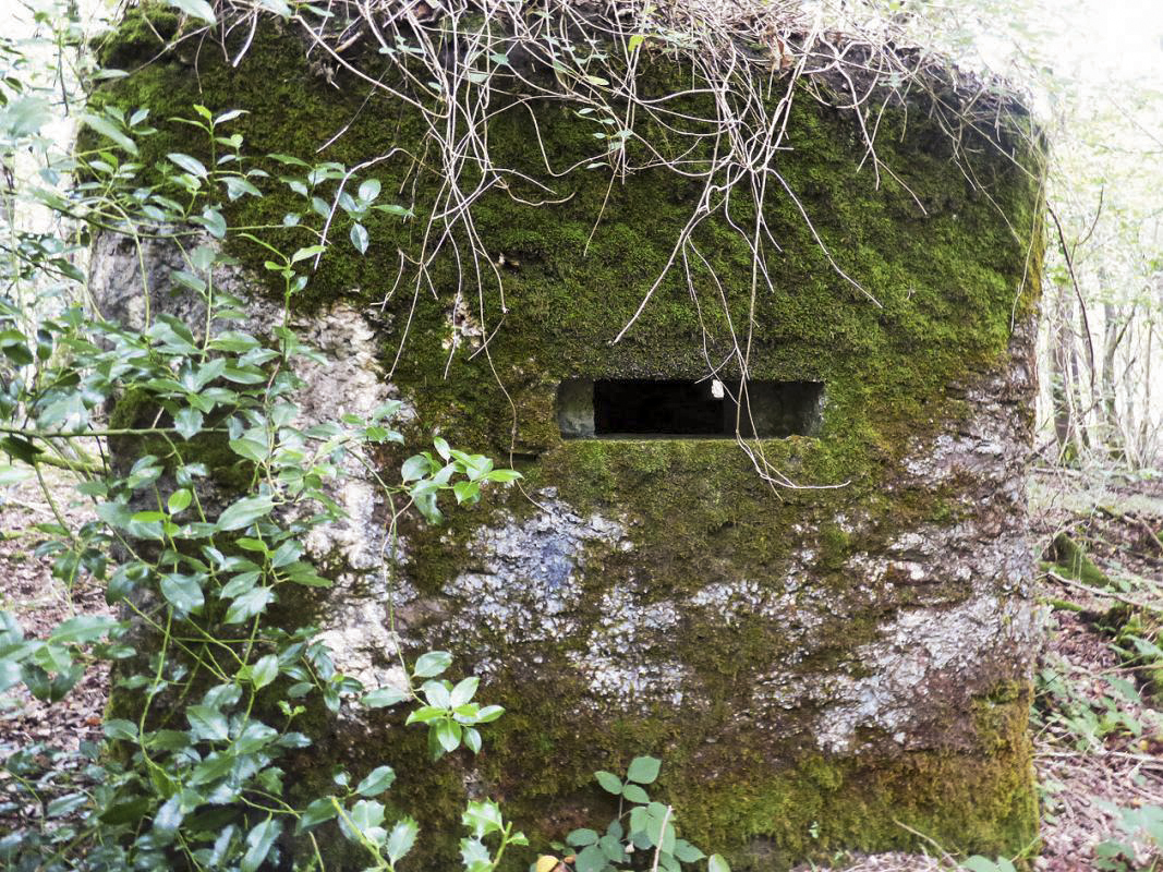 Ligne Maginot - BA50 - ALLÉE DES CHEVREUILS - (Blockhaus pour arme infanterie) -  - JMBrams