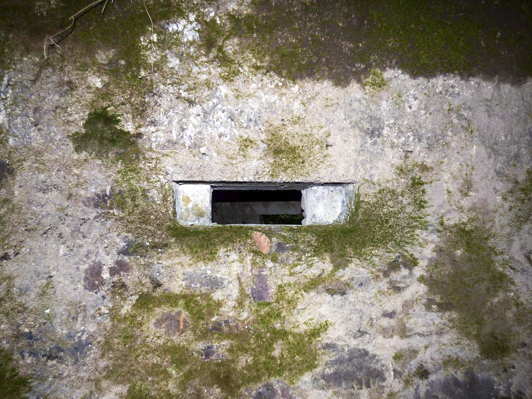 Ligne Maginot - BA50 - ALLÉE DES CHEVREUILS - (Blockhaus pour arme infanterie) -  - JMBrams