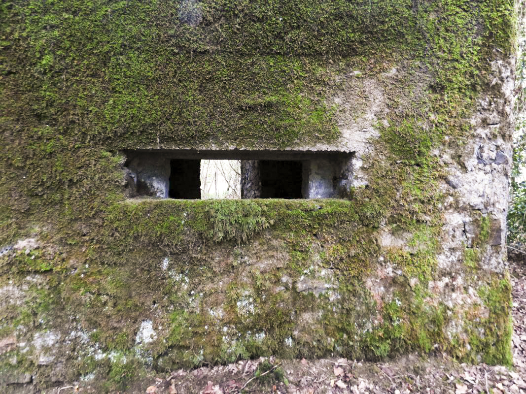 Ligne Maginot - BA50 - ALLÉE DES CHEVREUILS - (Blockhaus pour arme infanterie) -  - JMBrams