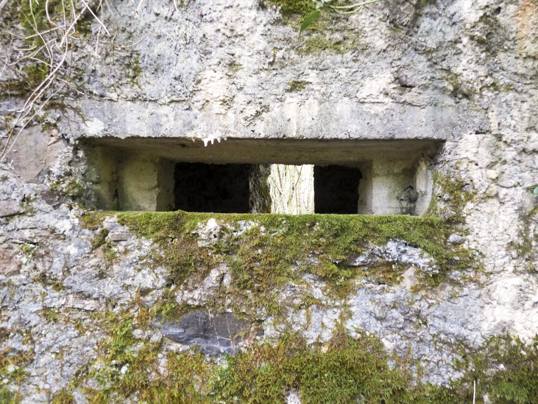 Ligne Maginot - BA50 - ALLÉE DES CHEVREUILS - (Blockhaus pour arme infanterie) -  - JMBrams