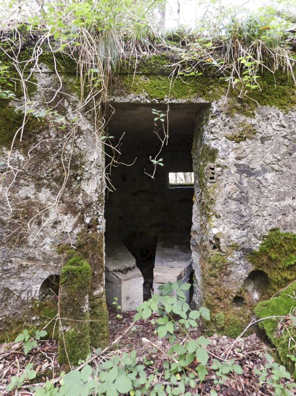 Ligne Maginot - BA50 - ALLÉE DES CHEVREUILS - (Blockhaus pour arme infanterie) -  - JMBrams