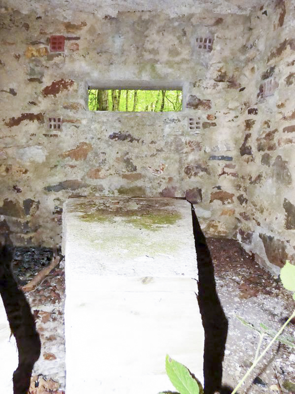 Ligne Maginot - BA50 - ALLÉE DES CHEVREUILS - (Blockhaus pour arme infanterie) -  - JMBrams