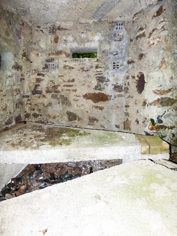Ligne Maginot - BA50 - ALLÉE DES CHEVREUILS - (Blockhaus pour arme infanterie) -  - JMBrams