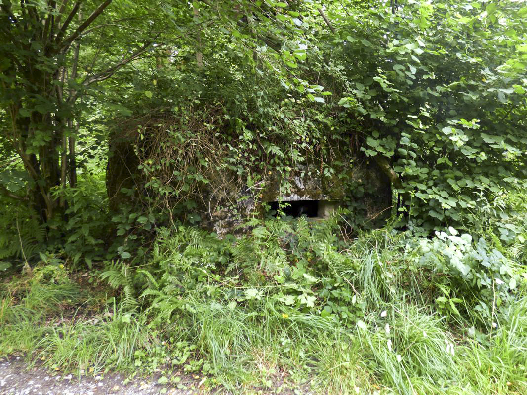 Ligne Maginot - BA51 - ALLÉE DES SANGLIERS - (Blockhaus pour arme infanterie) -  - JMBrams