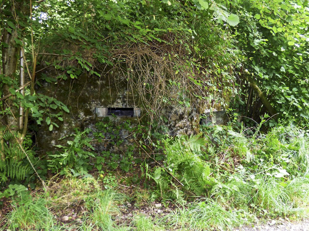 Ligne Maginot - BA51 - ALLÉE DES SANGLIERS - (Blockhaus pour arme infanterie) -  - JMBrams