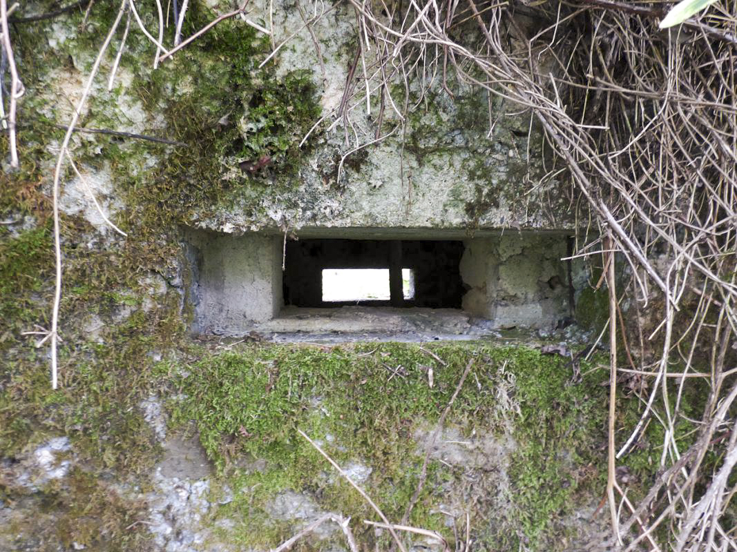 Ligne Maginot - BA51 - ALLÉE DES SANGLIERS - (Blockhaus pour arme infanterie) -  - JMBrams