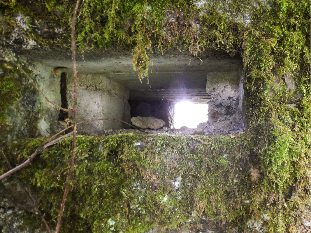 Ligne Maginot - BA51 - ALLÉE DES SANGLIERS - (Blockhaus pour arme infanterie) -  - JMBrams