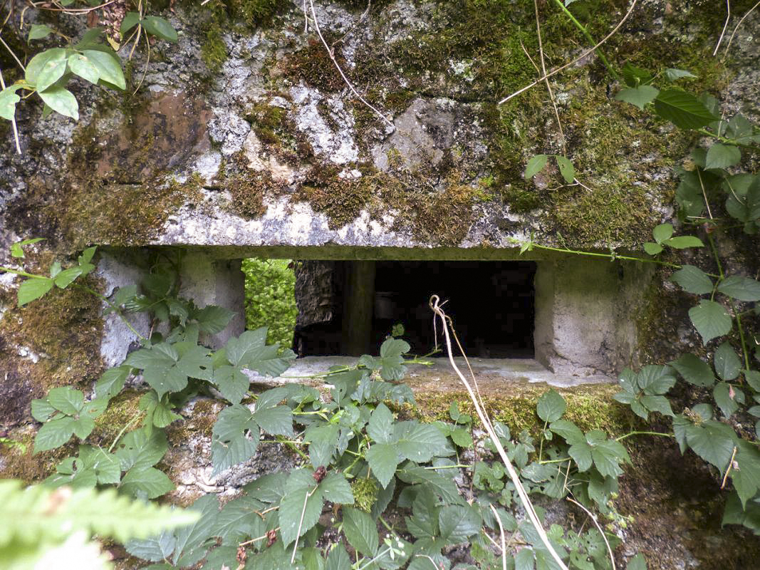 Ligne Maginot - BA51 - ALLÉE DES SANGLIERS - (Blockhaus pour arme infanterie) -  - JMBrams