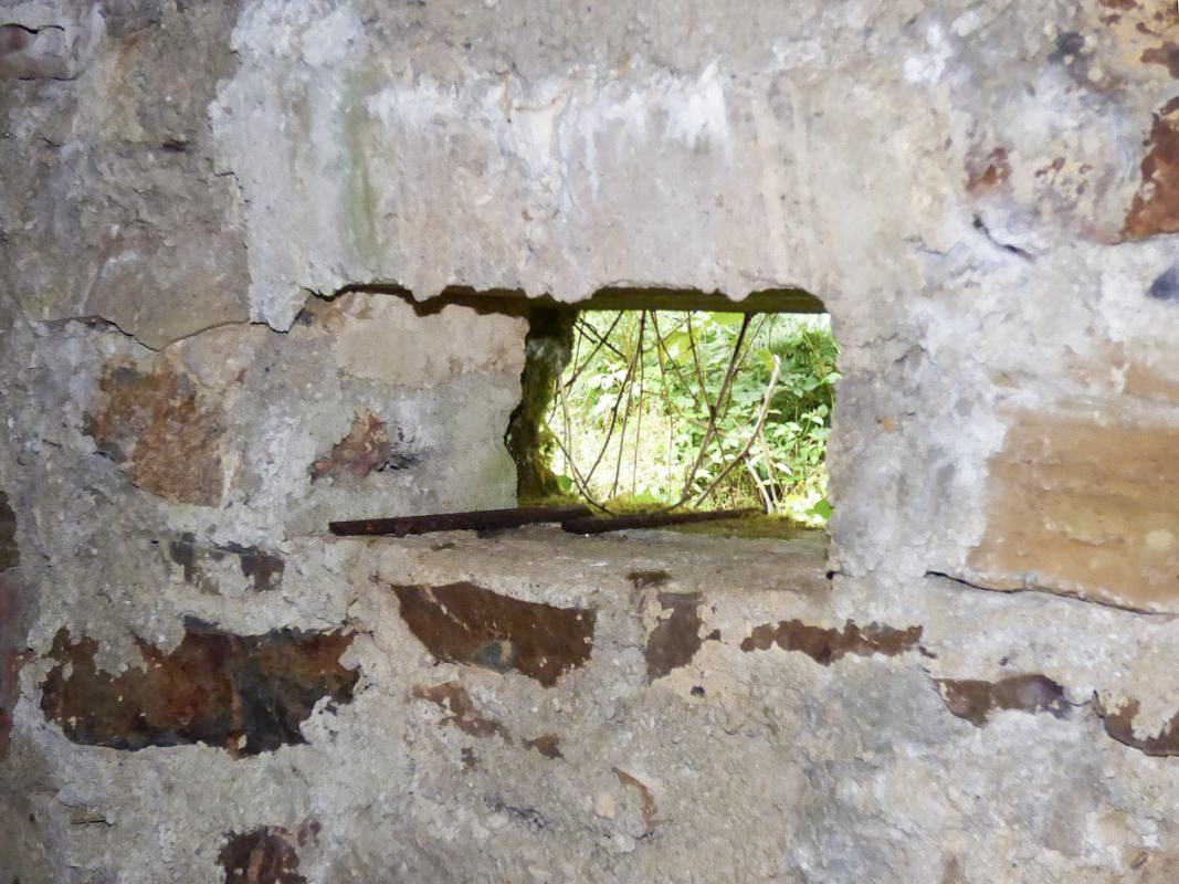 Ligne Maginot - BA51 - ALLÉE DES SANGLIERS - (Blockhaus pour arme infanterie) -  - JMBrams