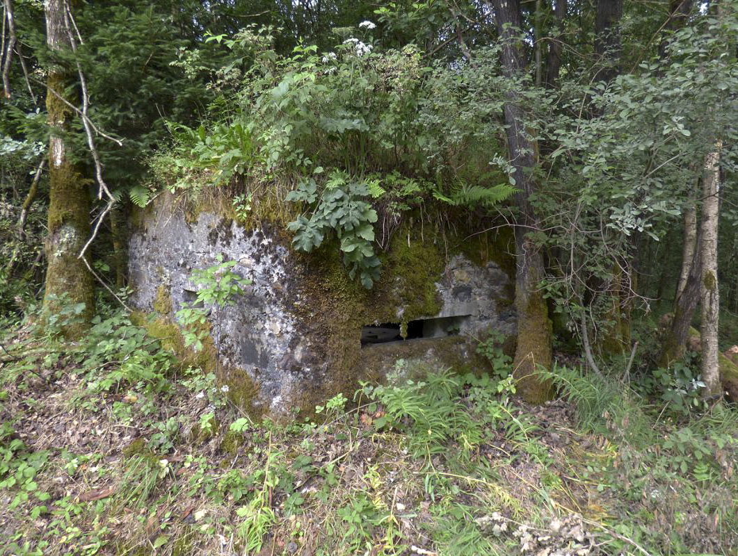 Ligne Maginot - BA52 - PONT DES HINGUES - (Blockhaus pour canon) -  - JMBrams