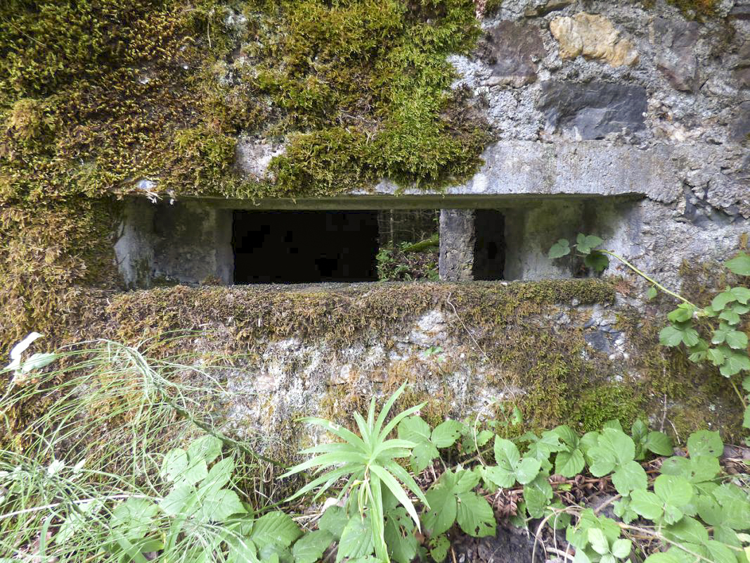 Ligne Maginot - BA52 - PONT DES HINGUES - (Blockhaus pour canon) -  - JMBrams