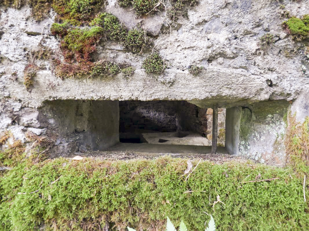 Ligne Maginot - BA52 - PONT DES HINGUES - (Blockhaus pour canon) -  - JMBrams