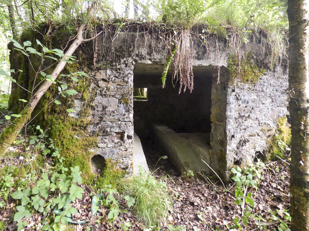 Ligne Maginot - BA52 - PONT DES HINGUES - (Blockhaus pour canon) -  - JMBrams