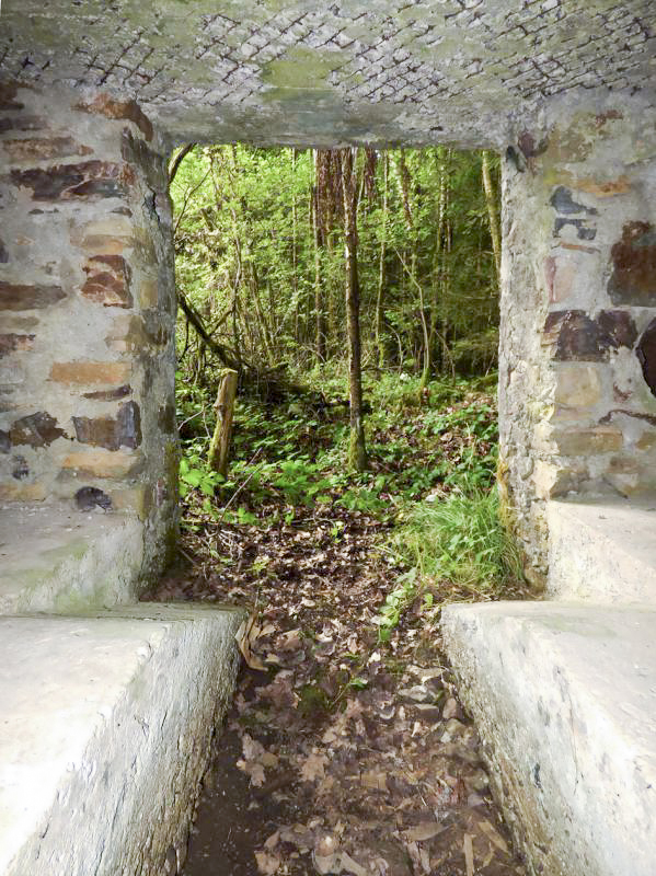 Ligne Maginot - BA52 - PONT DES HINGUES - (Blockhaus pour canon) -  - JMBrams