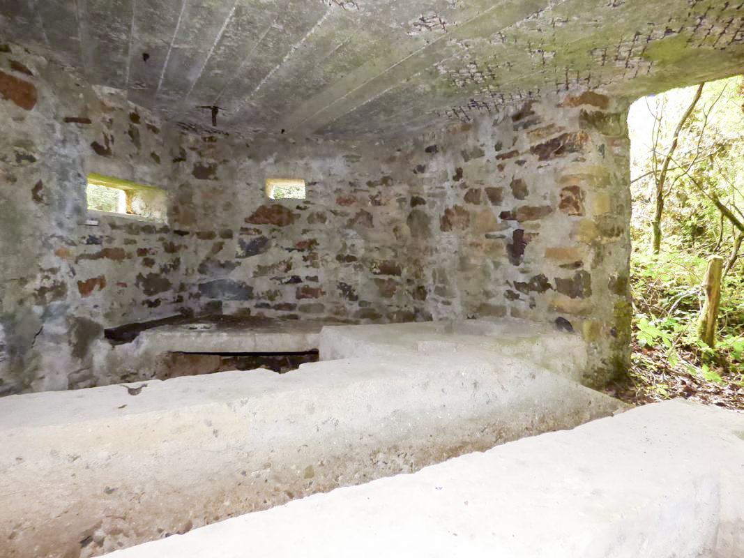 Ligne Maginot - BA52 - PONT DES HINGUES - (Blockhaus pour canon) -  - JMBrams
