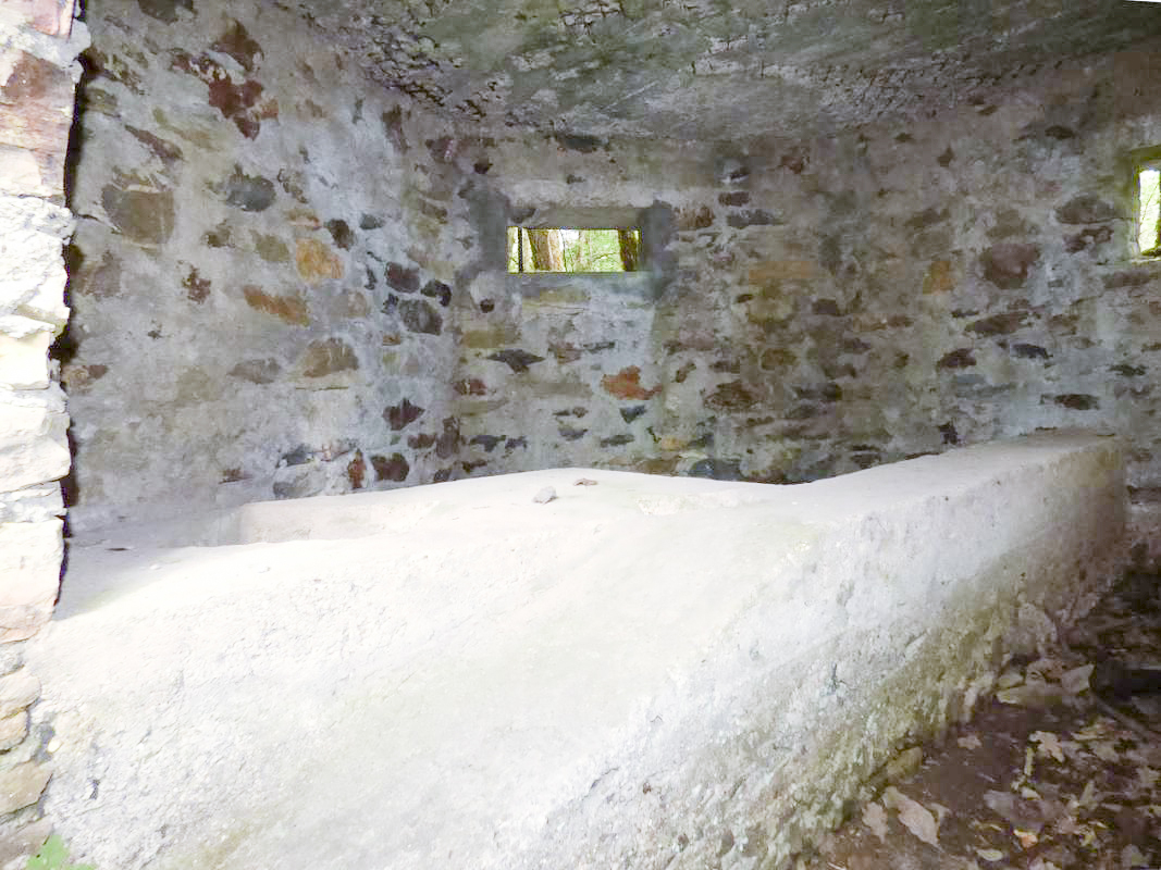 Ligne Maginot - BA52 - PONT DES HINGUES - (Blockhaus pour canon) -  - JMBrams