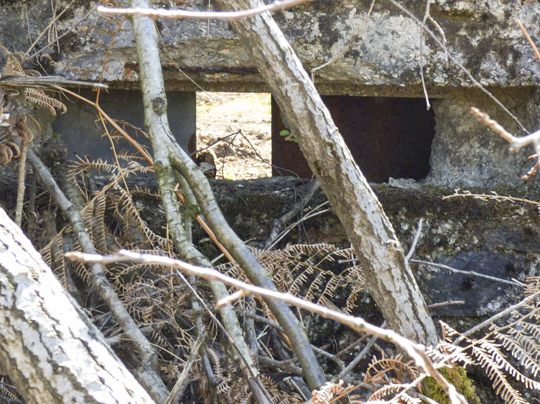 Ligne Maginot - BA55 - LA LOUVIÈRE - (Blockhaus pour arme infanterie) -  - JMBrams
