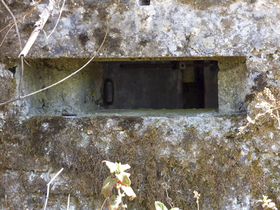 Ligne Maginot - BA55 - LA LOUVIÈRE - (Blockhaus pour arme infanterie) -  - JMBrams