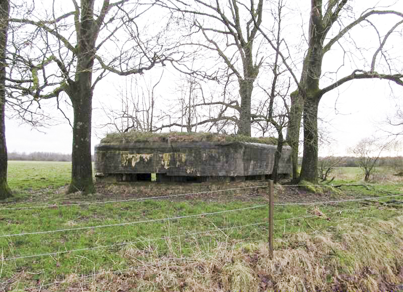 Ligne Maginot - BA62 - LA SONGIÈRE EST - (Blockhaus pour canon) -  - François MATHOT