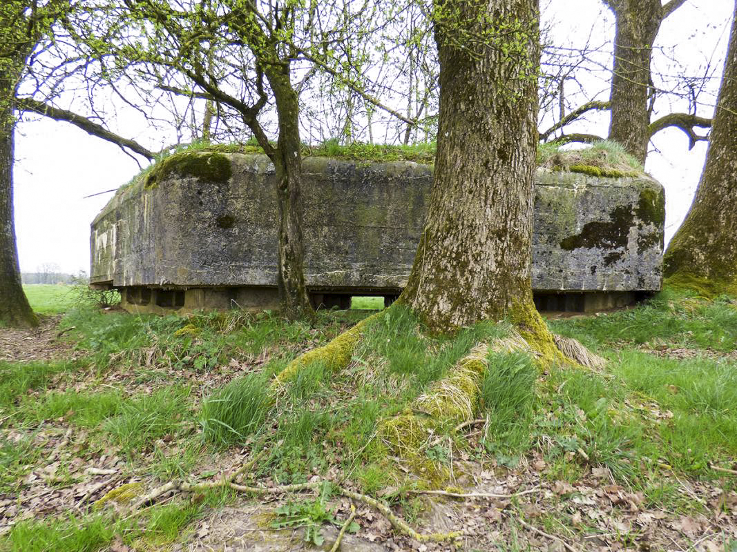 Ligne Maginot - BA62 - LA SONGIÈRE EST - (Blockhaus pour canon) -  - JMBrams