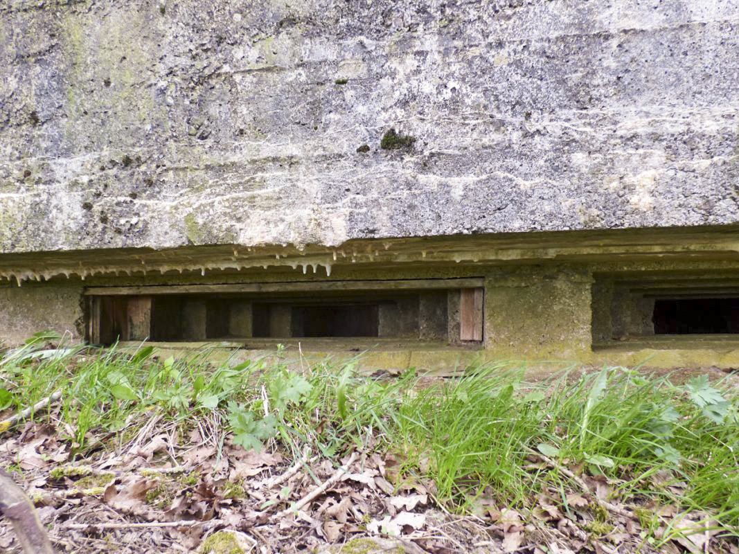 Ligne Maginot - BA62 - LA SONGIÈRE EST - (Blockhaus pour canon) -  - JMBrams