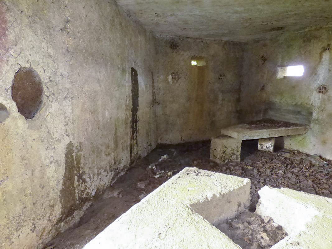Ligne Maginot - BA62 - LA SONGIÈRE EST - (Blockhaus pour canon) -  - JMBrams