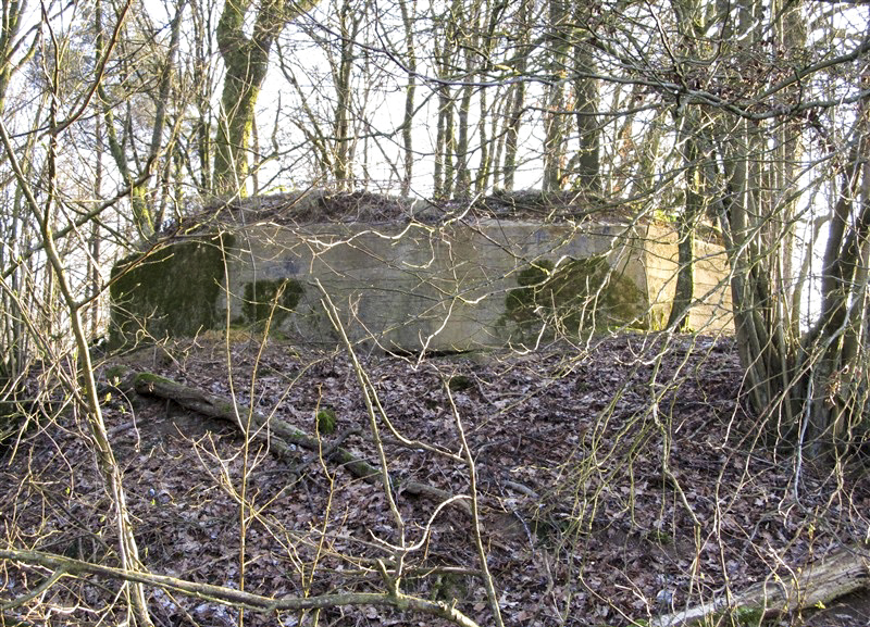 Ligne Maginot - BA61BIS - LE PRÉ FORGET SUD - (Blockhaus pour canon) -  - François MATHOT (courtesy of fortiff.be)