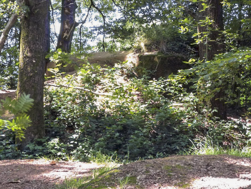 Ligne Maginot - BA61BIS - LE PRÉ FORGET SUD - (Blockhaus pour canon) -  - JMBrams