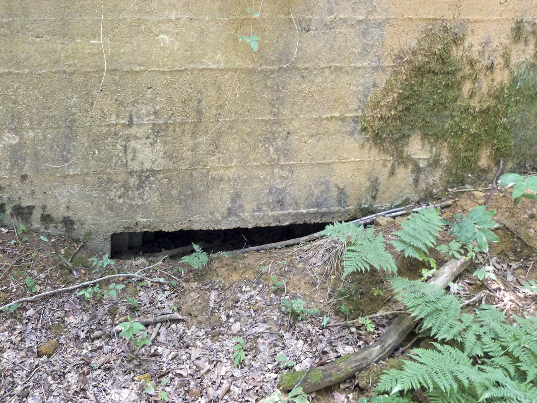 Ligne Maginot - BA61BIS - LE PRÉ FORGET SUD - (Blockhaus pour canon) -  - JMBrams