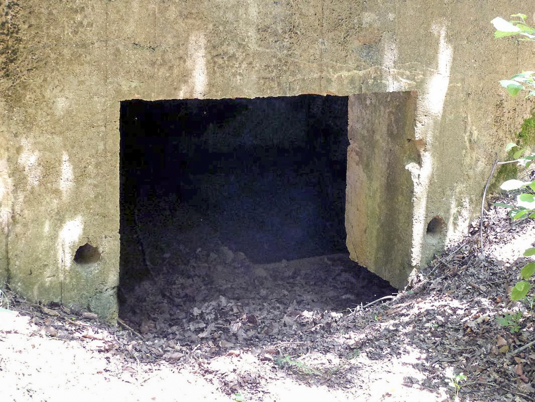 Ligne Maginot - BA61BIS - LE PRÉ FORGET SUD - (Blockhaus pour canon) -  - JMBrams