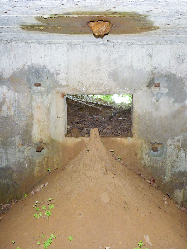 Ligne Maginot - BA61BIS - LE PRÉ FORGET SUD - (Blockhaus pour canon) -  - JMBrams