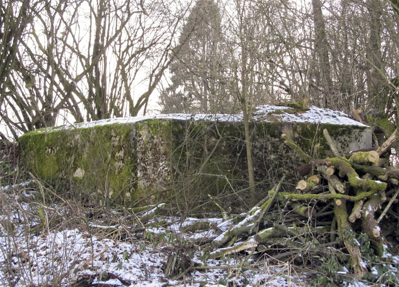 Ligne Maginot - BA61 - LE VOSGIAT OUEST - (Blockhaus pour canon) -  - François MATHOT