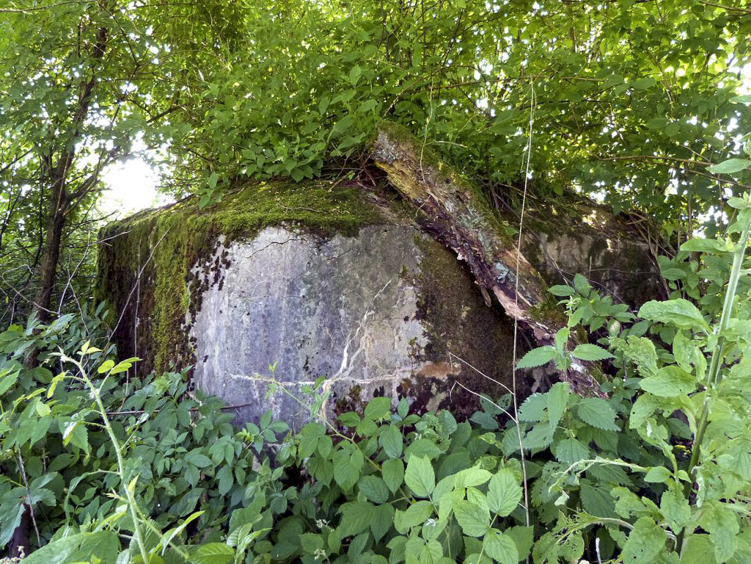 Ligne Maginot - BA61 - LE VOSGIAT OUEST - (Blockhaus pour canon) -  - JMBrams