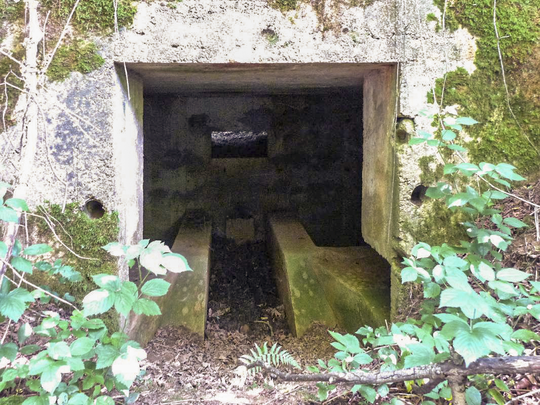Ligne Maginot - BA61 - LE VOSGIAT OUEST - (Blockhaus pour canon) -  - JMBrams