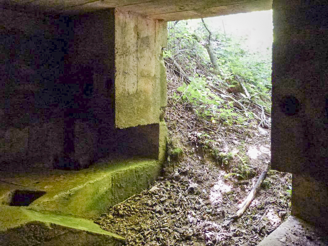 Ligne Maginot - BA61 - LE VOSGIAT OUEST - (Blockhaus pour canon) -  - JMBrams