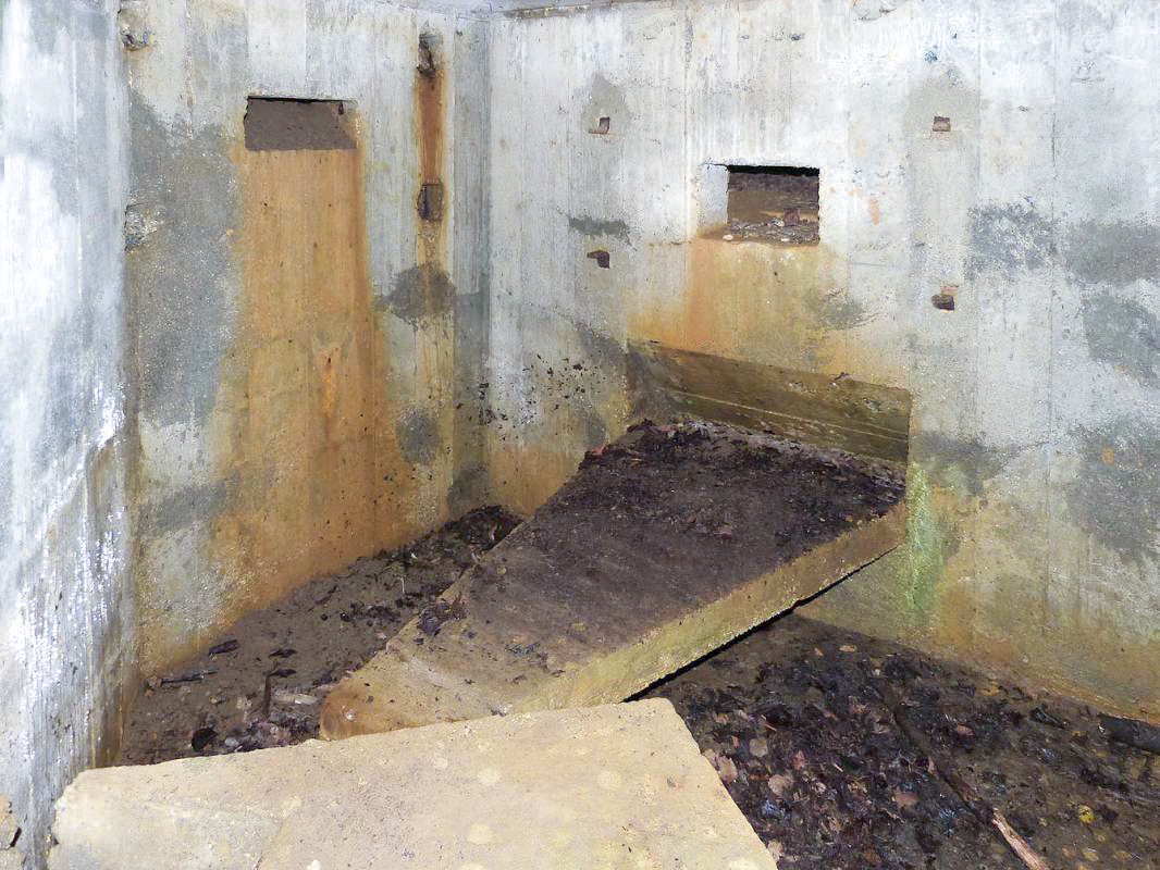 Ligne Maginot - BA61 - LE VOSGIAT OUEST - (Blockhaus pour canon) -  - JMBrams