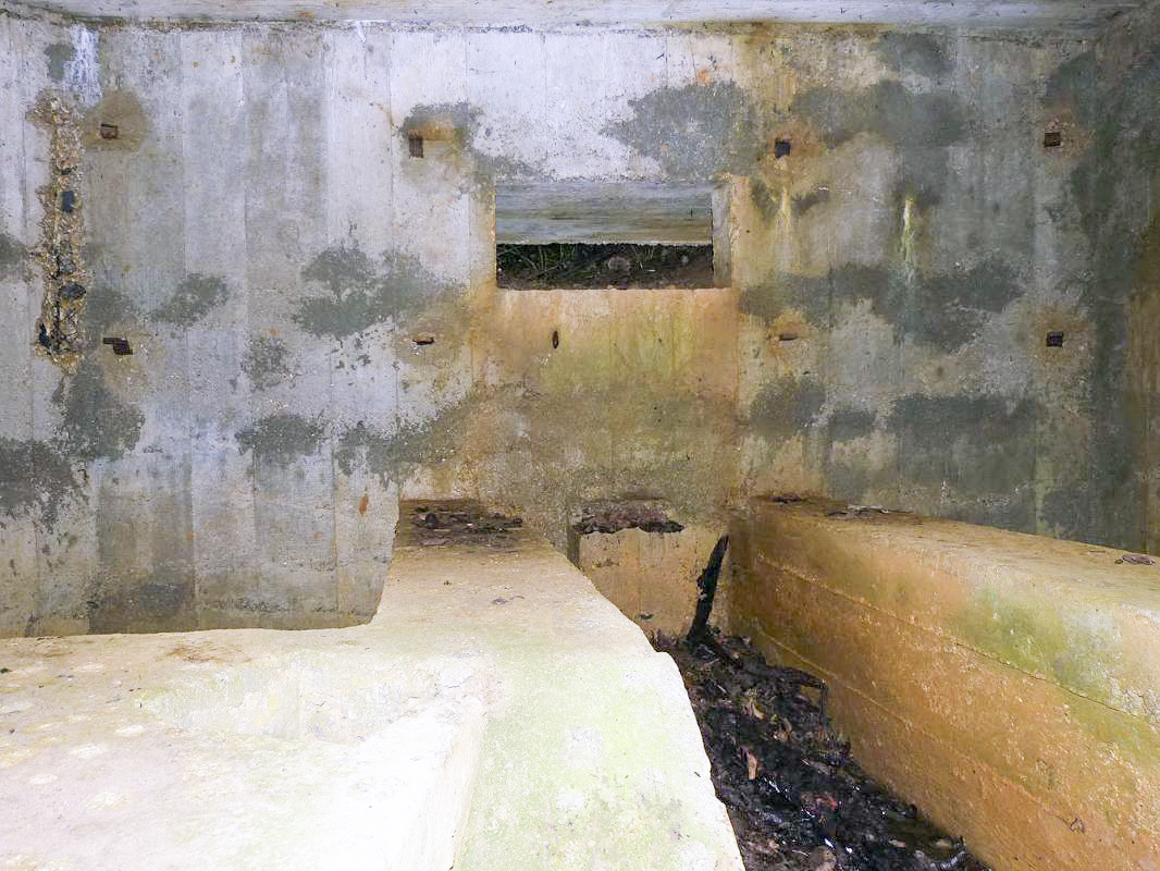 Ligne Maginot - BA61 - LE VOSGIAT OUEST - (Blockhaus pour canon) -  - JMBrams