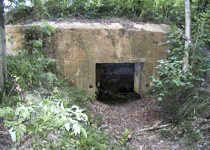 Ligne Maginot - BA60 - LE VOSGIAT EST - (Blockhaus pour canon) -  - Jean POUMAY