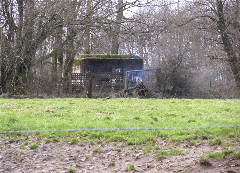Ligne Maginot - BA59 - LE FRANC PRE NORD - (Blockhaus pour canon) -  - François MATHOT
